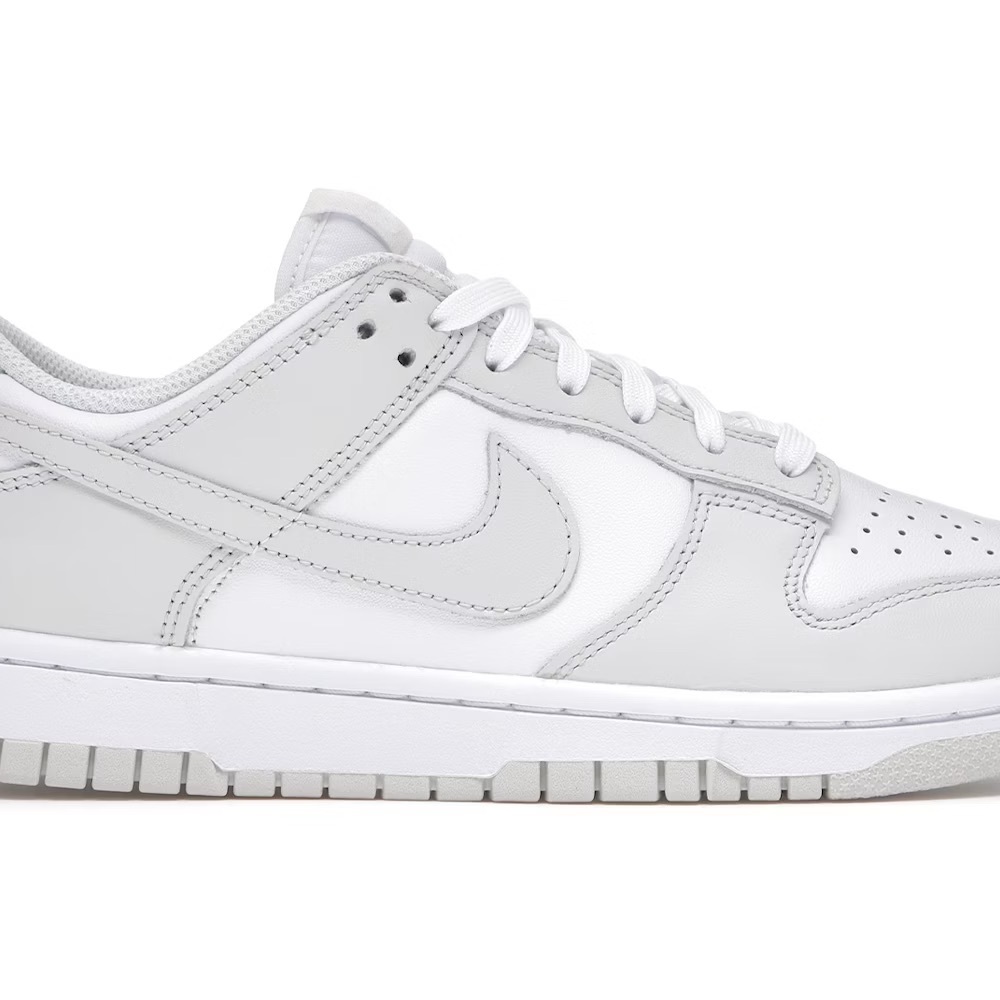 Nike Proton Dust Low Dunk Sneakers